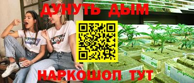 индика Тулун